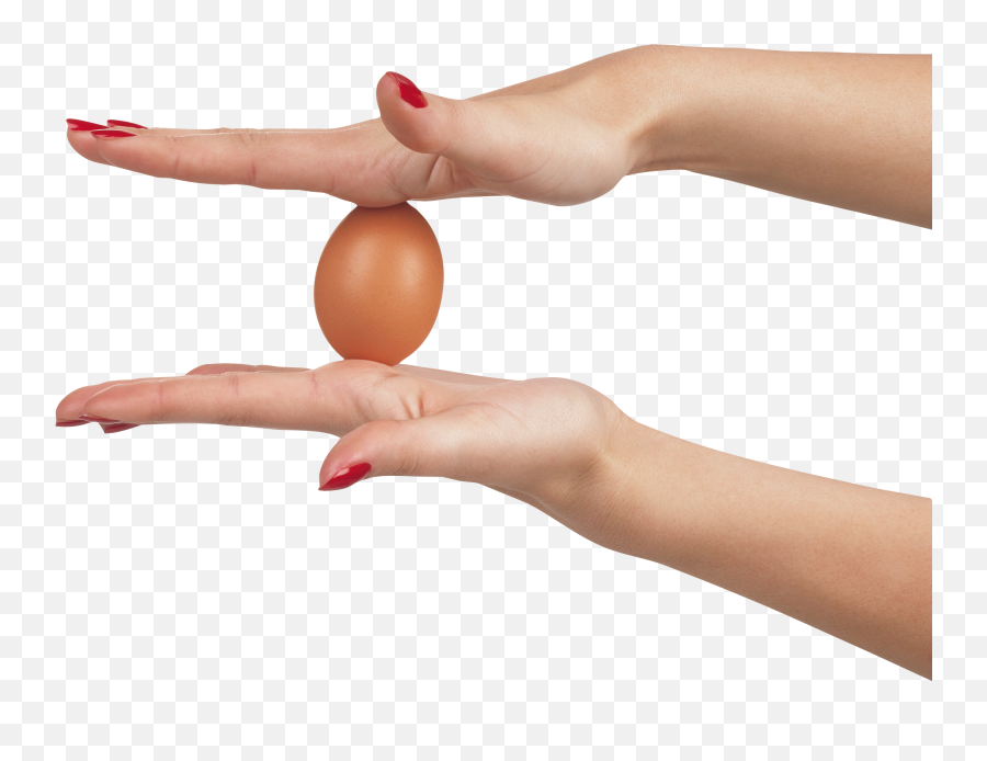 Between Hands Png Image For Free Download - Hand Holding Egg Png,Hand Grabbing Png