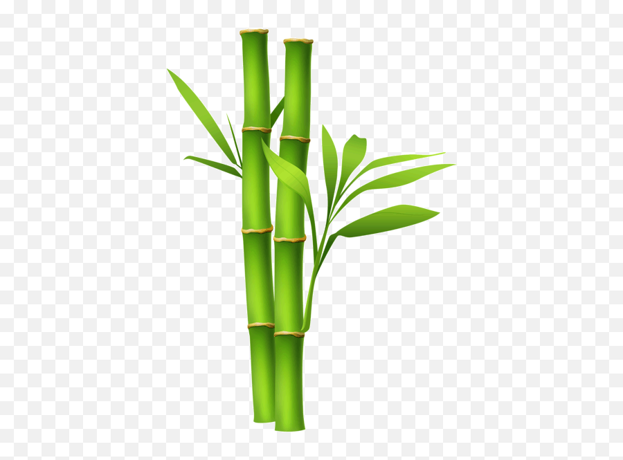 Bamboo Png Transparent Free Images - Bamboo Png,Bamboo Png