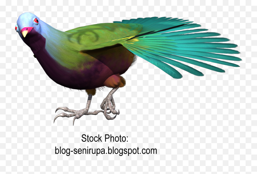 Download Goose Macaw Bird Gulls Beak Free Png Hq Clipart - Birds,Macaw Png