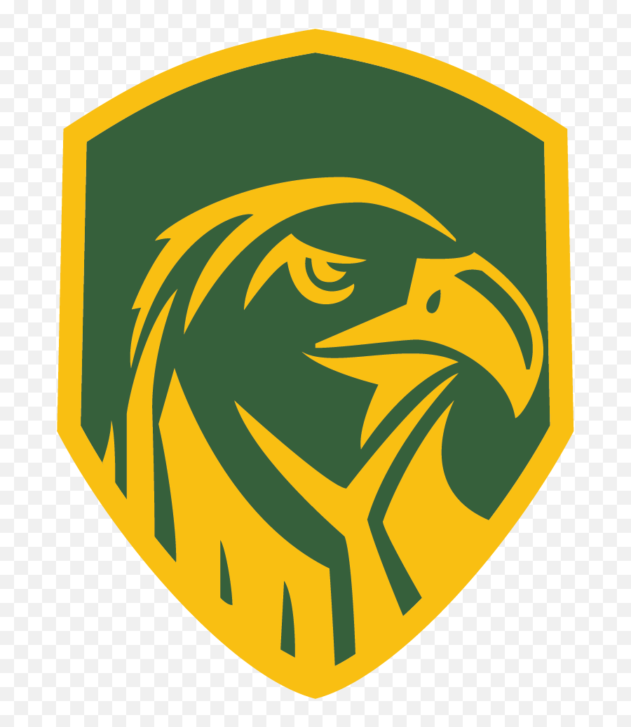 Team Home Madison Plains Golden Eagles - Madison Plains Eagle Png,Golden Eagle Logo