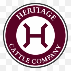 Home - Stone Company Png,Cattle Brand Logo