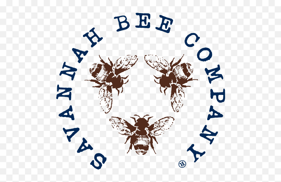 Savannah Bee The Evolution Of A Logo - Savannah Bee Savannah Bee Company Logo Png,Dream Theater Logos