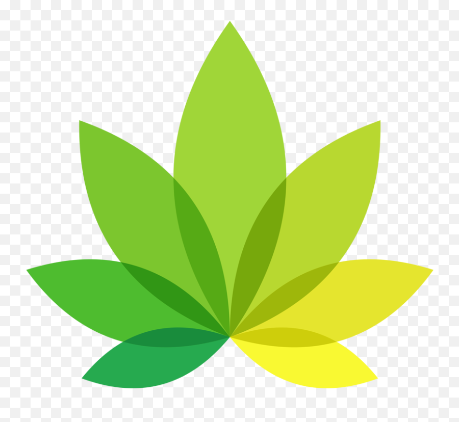 Indicaonline - Marijuana Pos Software Indica Online Png,Marijuana Leaf Transparent