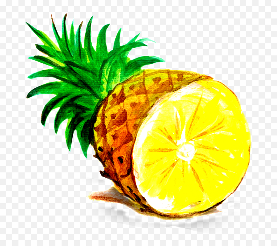 Download Pineapple Cartoon Transparent - Top Of Pineapple Pineapple Png Images Cartoon,Pineapple Transparent