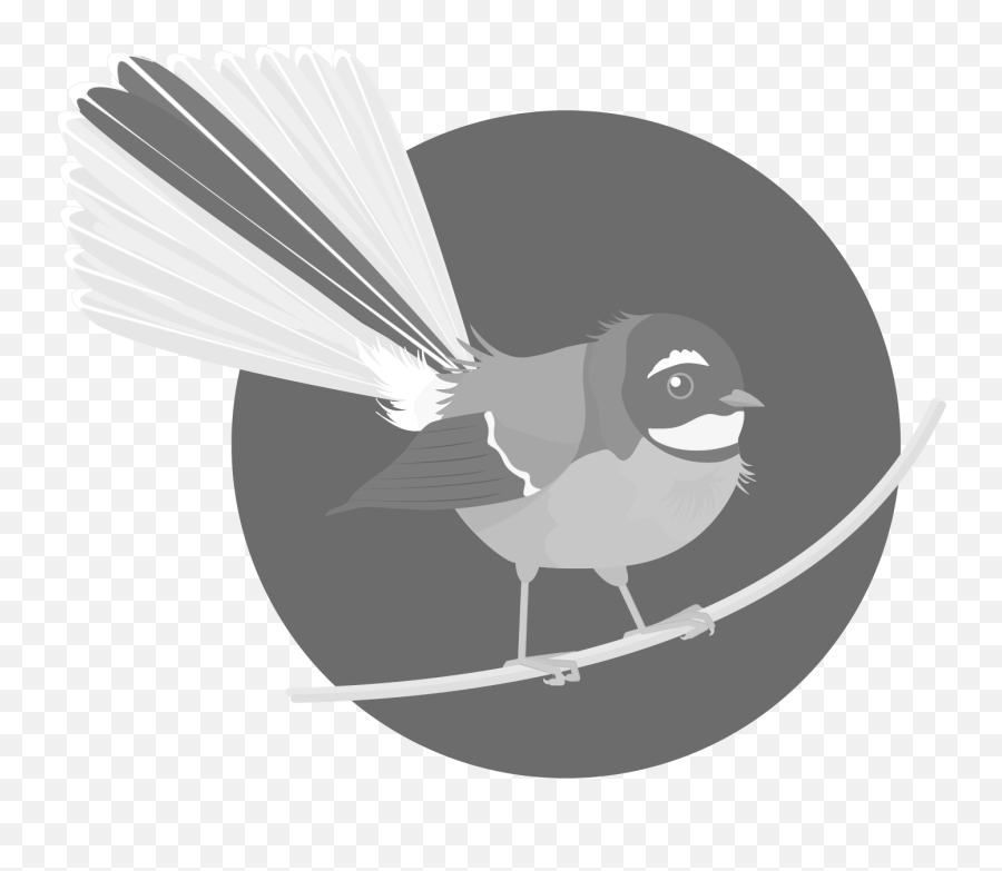Graphics Bird Icons Grey Set 1 - Datasets Datagovtnz Old World Flycatchers Png,New Zealand Icon