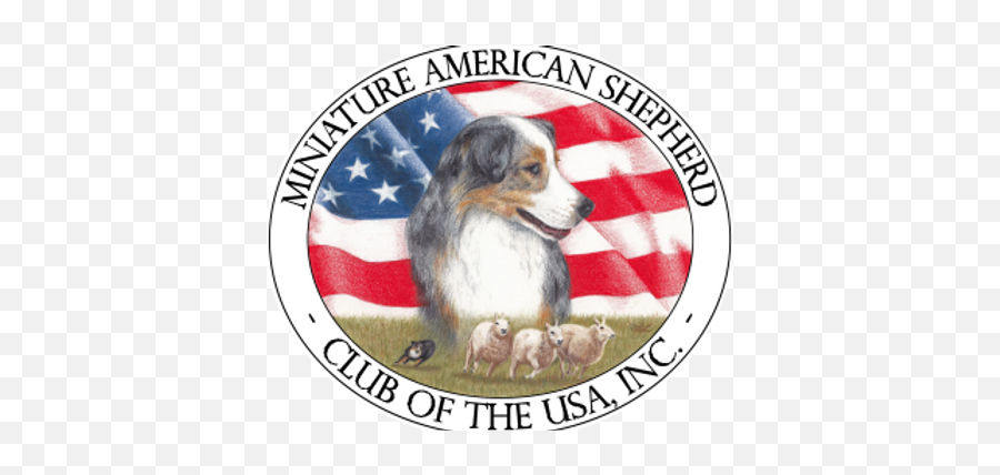 Mas History - American Png,Australian Shepherd Icon