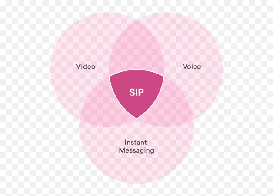 An Advanced Guide To Sip Terms - Dot Png,Sip & Scan Icon