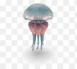 Download Free Png Jellyfish Image - Dlpngcom Portable Network Graphics,Transparent Jellyfish