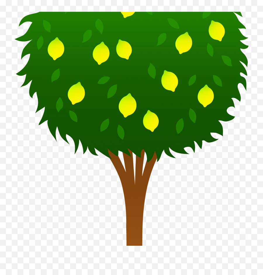 Lemon Clipart Png - Mango Tree Png Clipart,Orange Tree Png