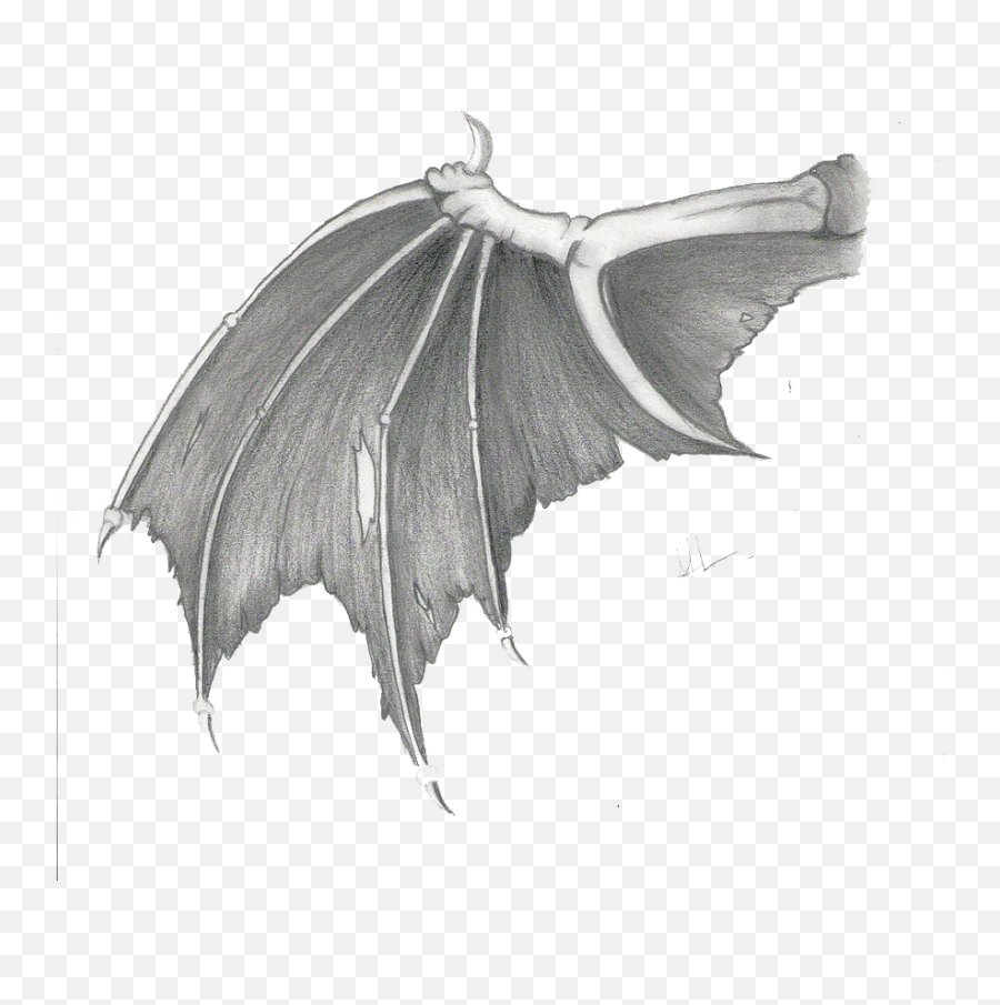 Dragon Wings Transparent Images - Transparent Dragon Wings Png,Wings Png Transparent