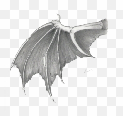 Dragon Wings Transparent Images - Png