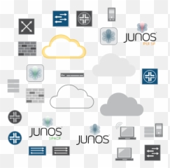 General Icons - Juniper png