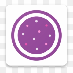 Macaron Cam - Photo Editorvideo Recording 291 Download Png,Macaron Icon