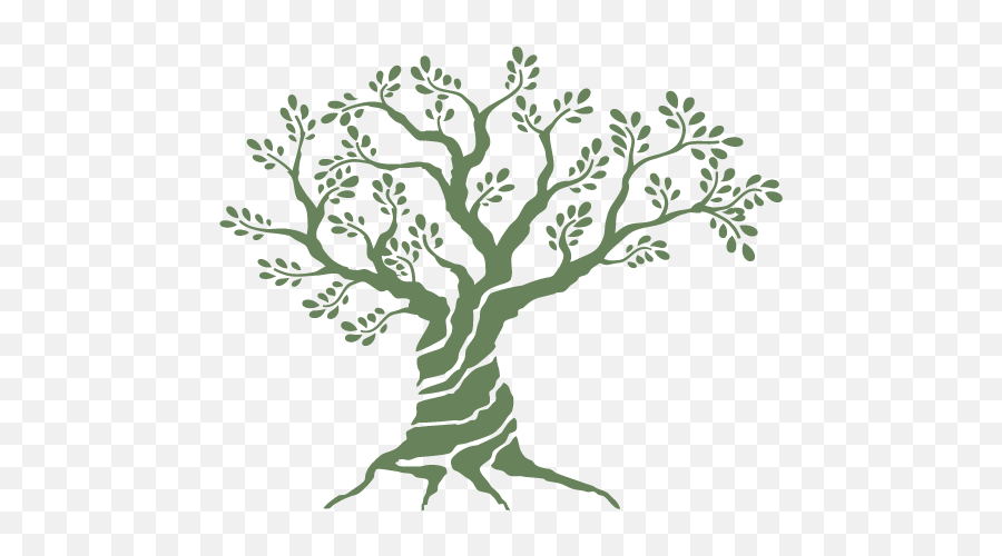 Olive Tree Logo Design - Online Free Tree Logo Maker Png,Olive Leaf Icon