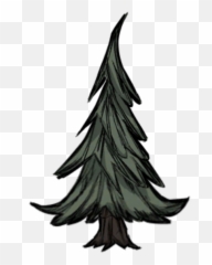 Evergreen Png