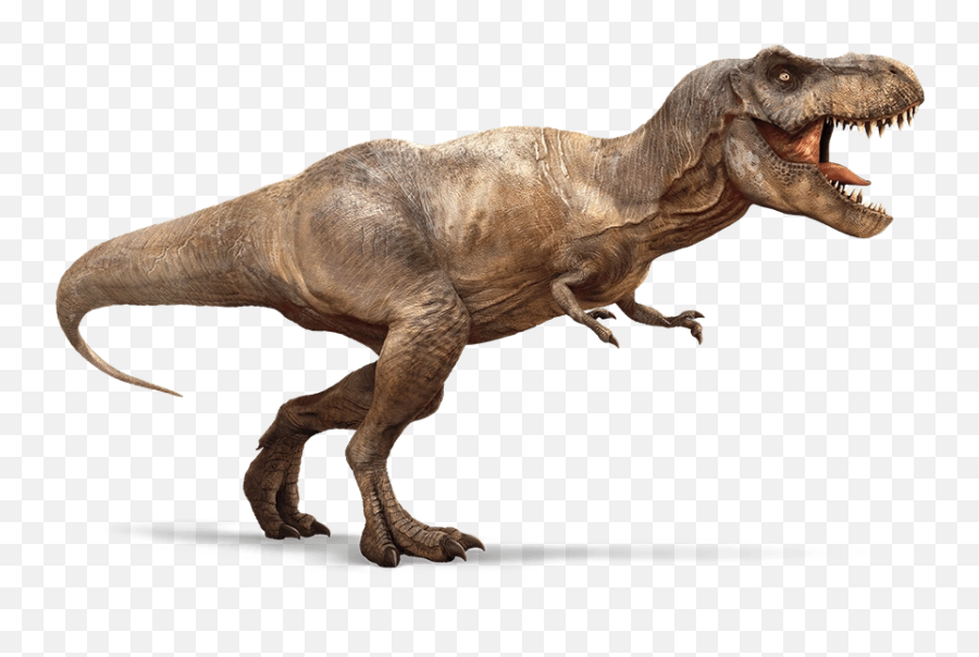 Download Free Png Image - Trex 2png Jurassic Park Wiki T Rex,Dinosaur Png