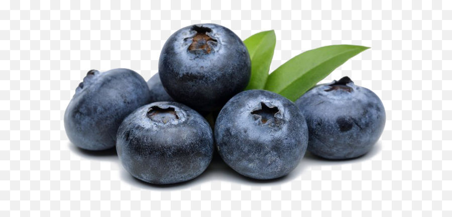 Blueberries Png High Quality Image - Alishan At The Alley Menu Blueberry Blackberries,Blueberries Png