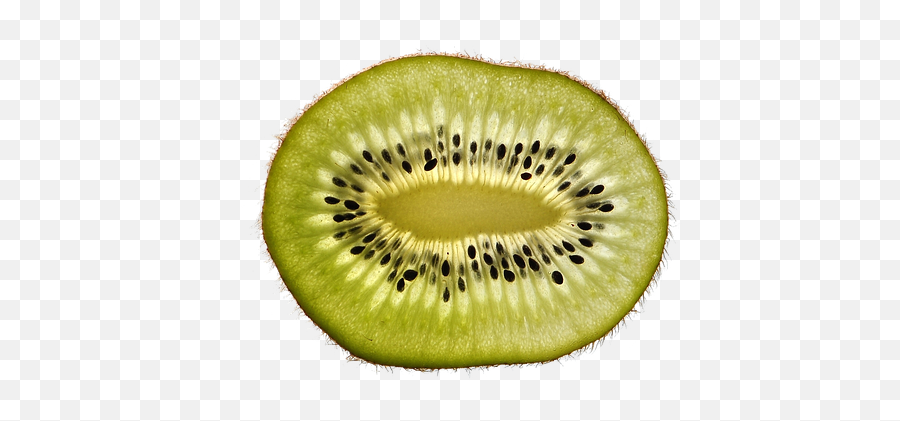 800 Free Kiwi U0026 Fruit Images - Pixabay Close Up Fruit And Vegetable Quiz Png,Kiwi Transparent
