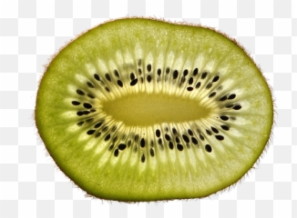 800 Free Kiwi U0026 Fruit Images - Pixabay Close Up Fruit And Vegetable Quiz Png,Kiwi Transparent