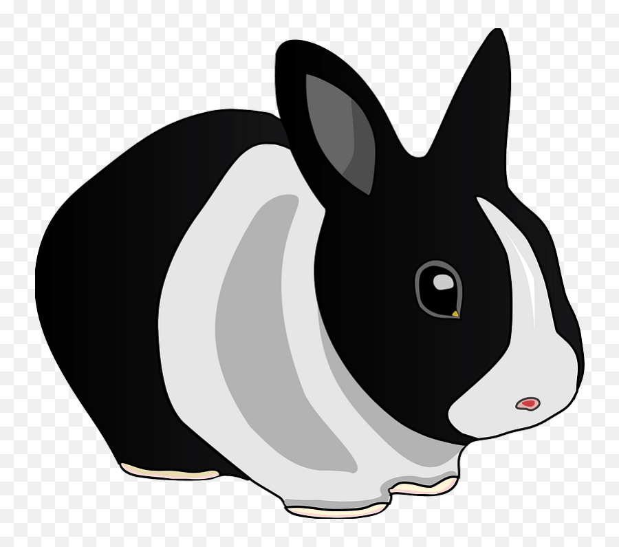 Clipart - Rabbit Clip Art Transparent Png,Rabbit Clipart Png