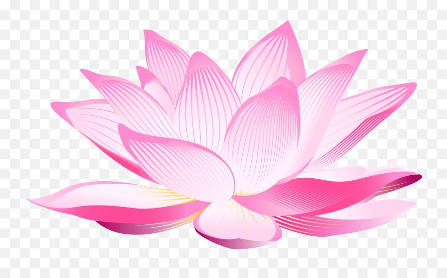 Library Of Aquatic Lotus Plant Picture Download Png Files - Transparent Background Lotus Flower Clipart,Plant Transparent Background