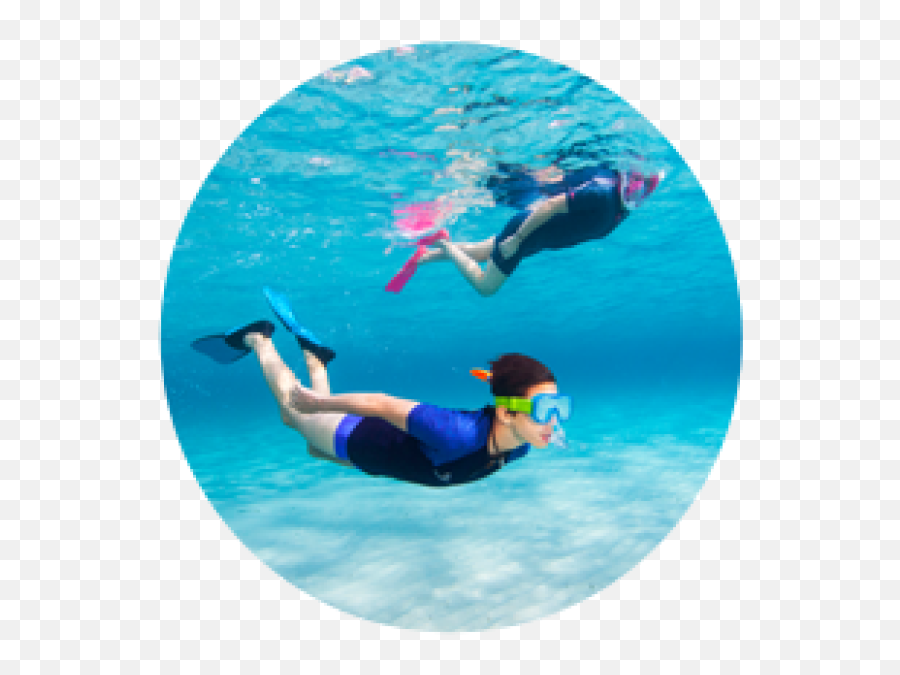 How To Choose Your Dive Weights Subea - Berenang Di Laut Png,Weights Transparent
