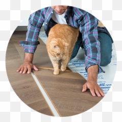 Wood Flooring Beautiful Laminate U0026 Vinyl Floors - Intenso Oak Int3902 png