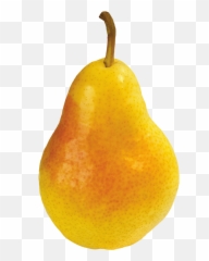 Pear Png Images Transparent Background Pears