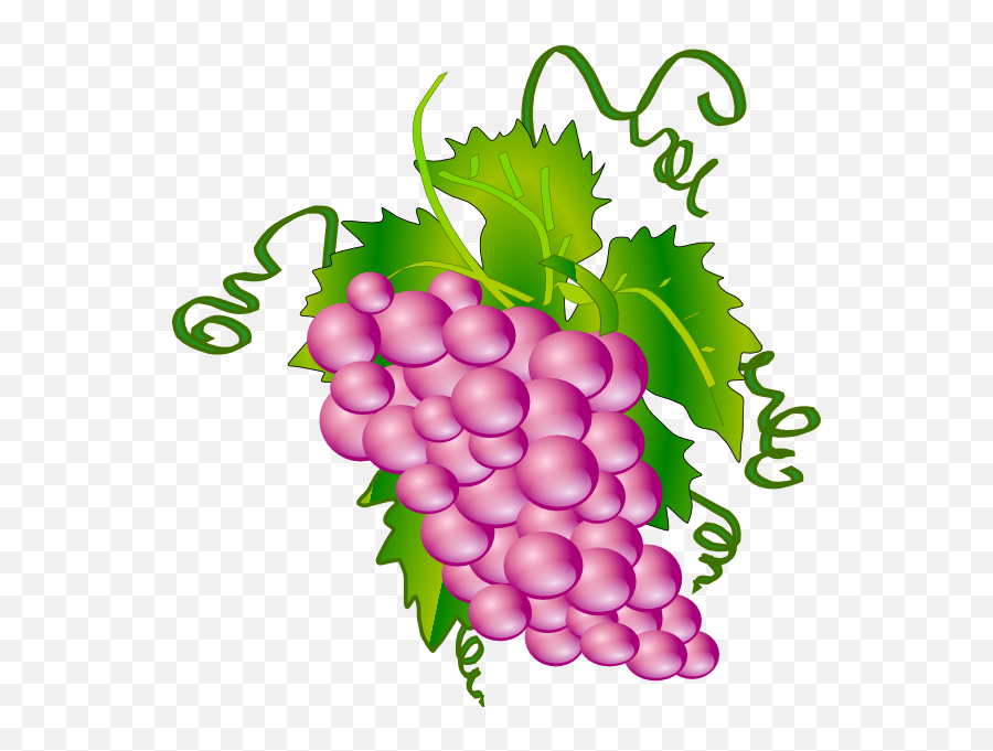 Grape Png Clip Arts For Web - Pink Grapes Clipart,Grape Png