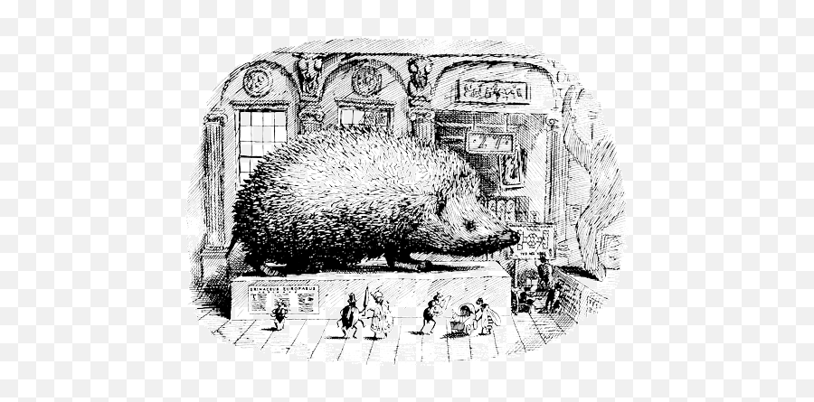 How Well Do You Know Your Hedgehog - The British Hedgehog Illustration Png,Hedgehog Png