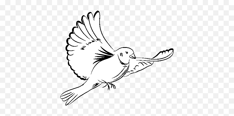 White Dove Coloring Page - Coloringcrewcom Palomas Blancas Para Dibujar Png,White Doves Png