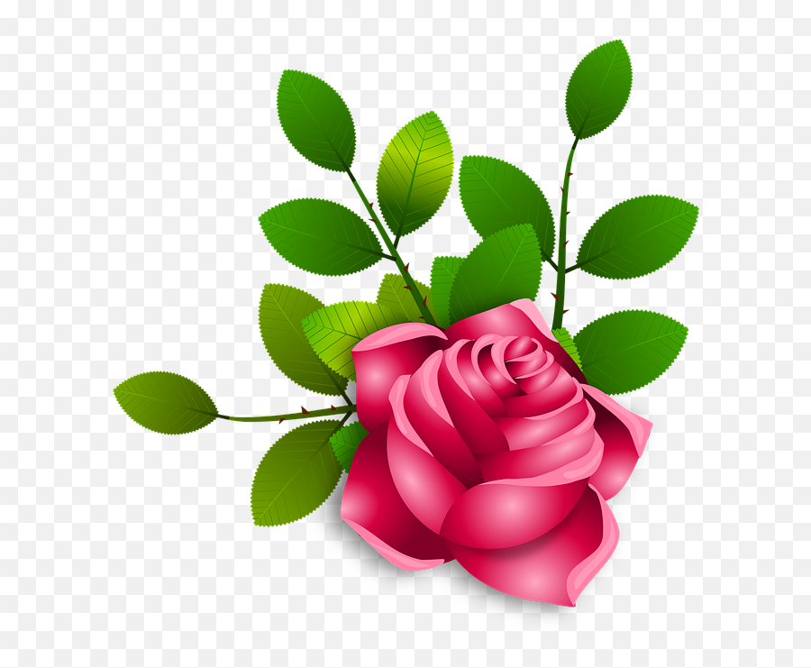 Thumb Image - Ramo De Flores Rosas Png Full Size Png Ramo De Flor Rosa Png,Rosas Png
