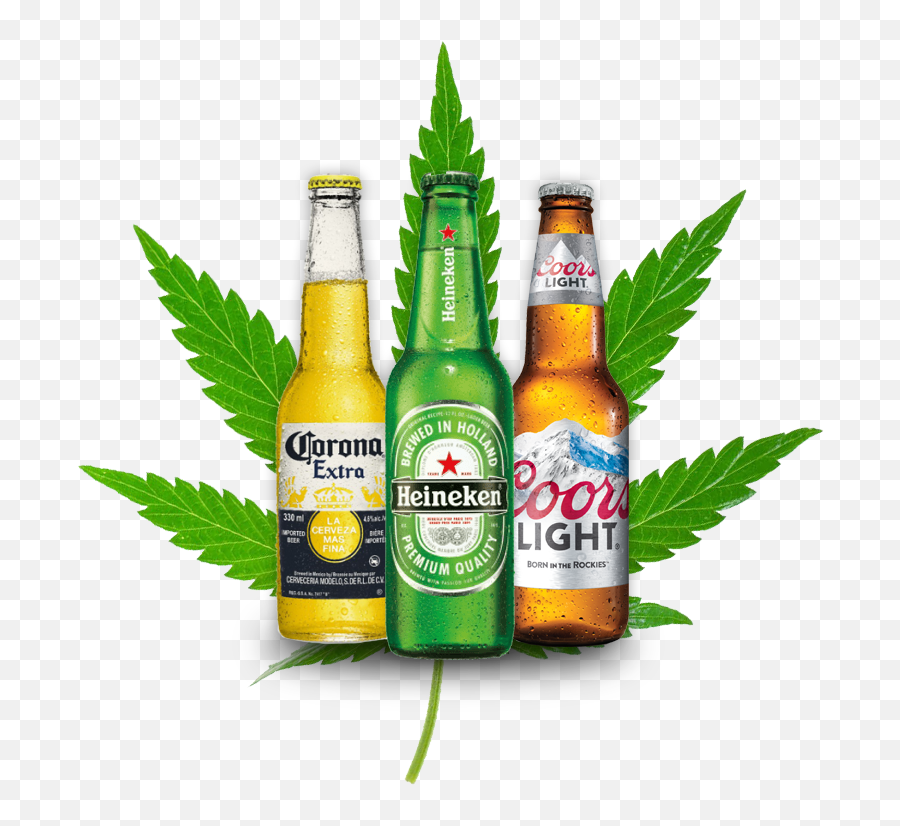 2018 - Cannabis Capital Convention Marijuana Leaf Png,Modelo Beer Png