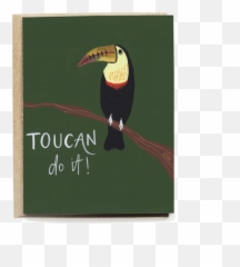 Download Hd Toucan Encouragement Card - Toucan Transparent Toco Toucan Png,Toucan Png