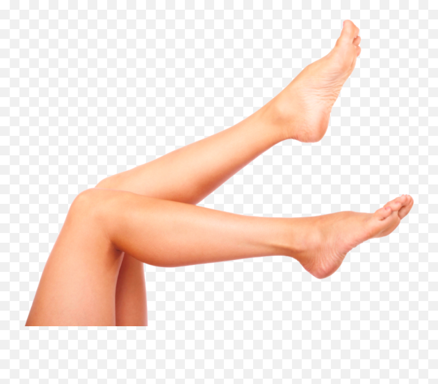Download Women Legs Png Image For Free - Legs In The Air Quote,Leg Transparent
