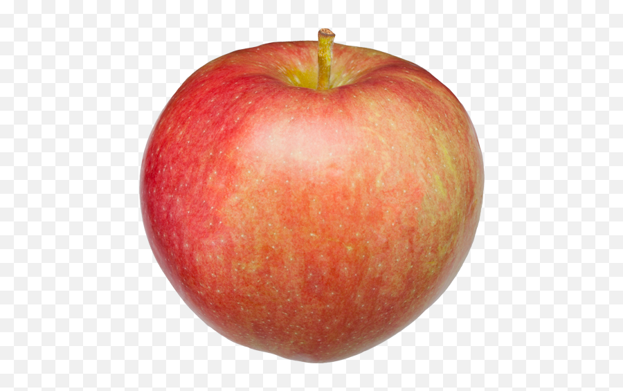 Paula Red Apple - Mcintosh Png,Red Apple Png