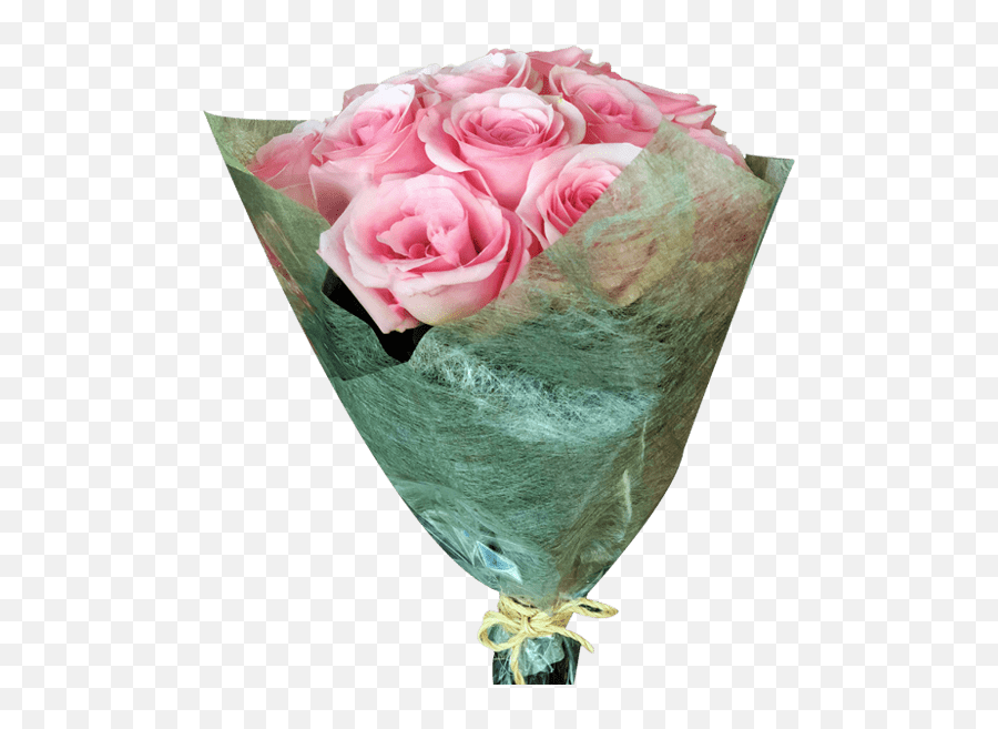 Diy 12 Light Pink Roses Bouquet Flower Arrangement Magnaflor - Garden Roses Png,Pink Rose Transparent