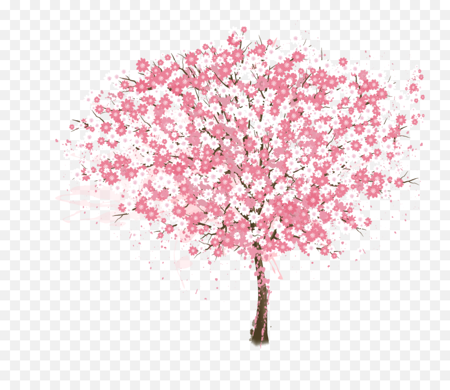 Cherry Blossom Tree Png Resume Vector - Cherry Blossom Tree Png,Cherry Blossom Branch Png