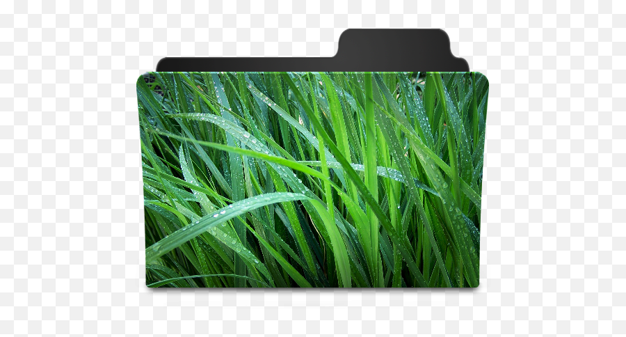 Grass I Icon - Folder Grass Png,Grass Icon