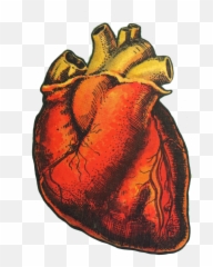 Transparent Png - Aesthetic Tumblr Png Art,Tumblr Transparent Png