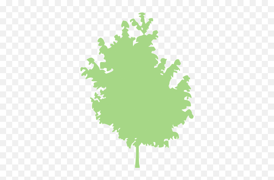 Guacamole Green Tree 25 Icon - Free Guacamole Green Tree Icons Größten Seen In Deutschland Png,Green Tree Icon