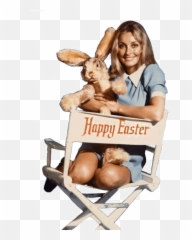 Templates And Stuff Amino - Sharon Tate Easter Png,Stocking Anarchy Icon