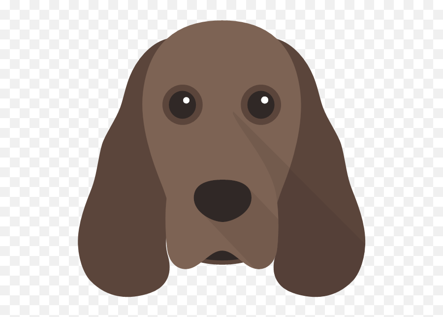 I Want All The Dogsu0027 - Personalized Dog Mug Yappycom Basset Hound Png,Arnold Icon