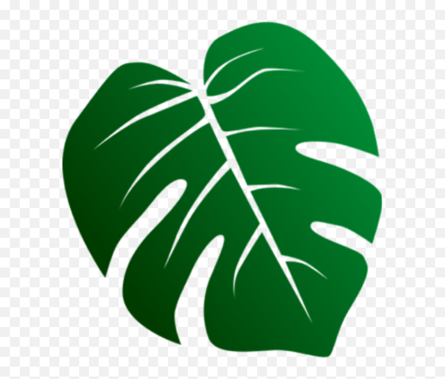 Download Folha Verde Arvore Decorativa - Tropical Leaf Svg Full ...