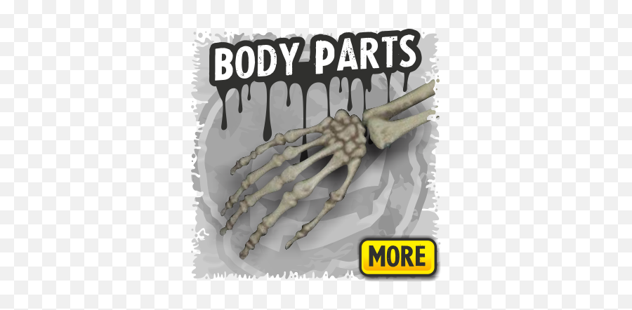 Download Body Parts A Skeletons Decor - Bone Png,Skeletons Png