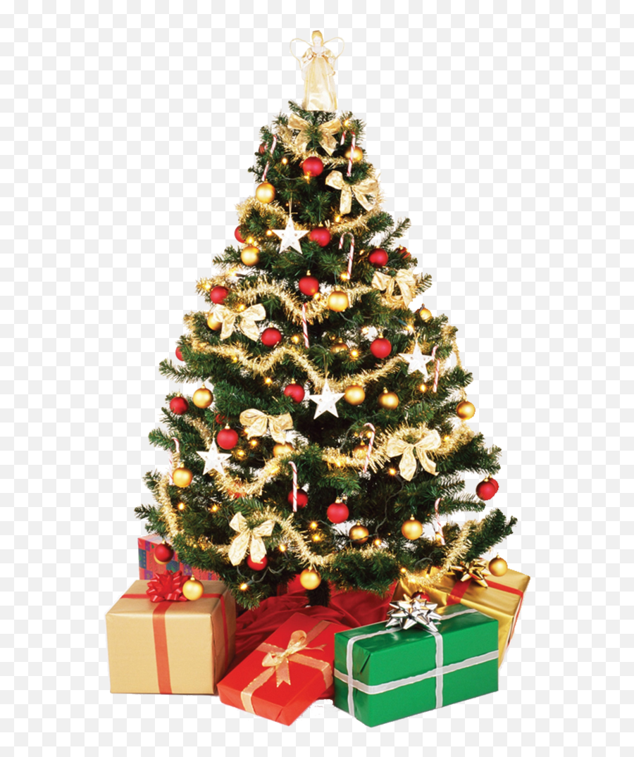 Free - Christmas Tree Background Png,Christmas Tree Transparent ...