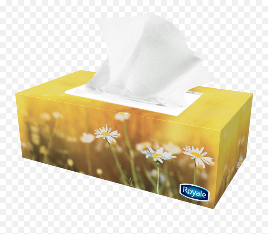 Royale Tissue Box Png Image With No - Tissue Box Paper Towel,Tissue Box Png
