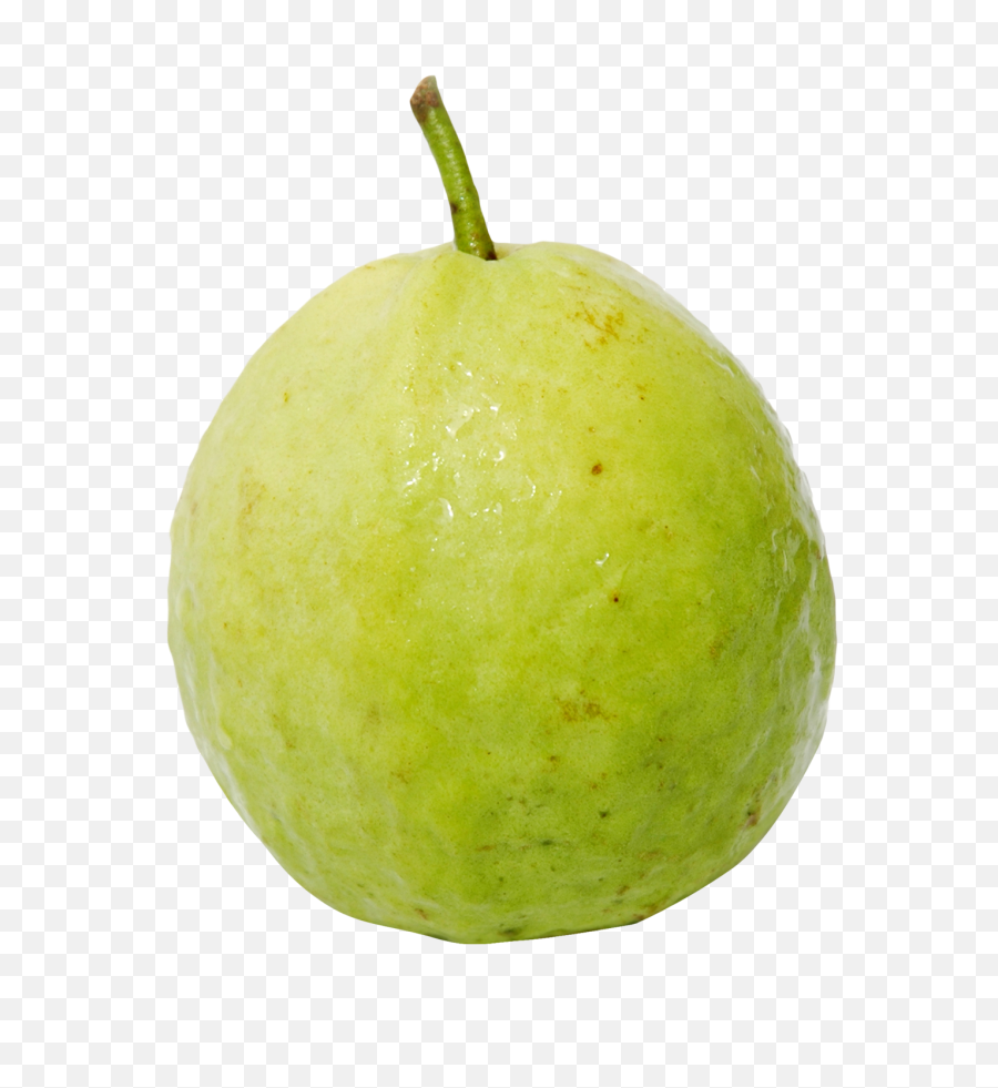 Guava Png Editing Photoshop 1 Transparent Background Images - Transparent Png Guava,Editing Png Image