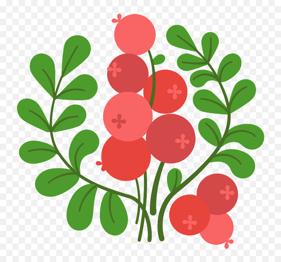 Clipart - Cranberry Clipart Png,Cranberry Png