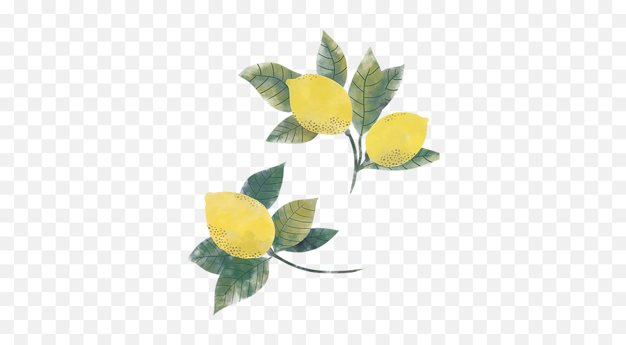 Springsummer 2018 Mulligan - Illustration Png,Lemons Png